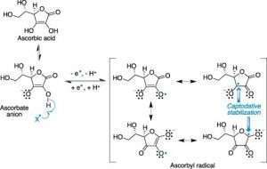 مکانیزم عمل آنتی­اکسیدانی ویتامین C هیروژن