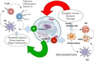 نقش ویتامین D3  در سیستم ایمنی